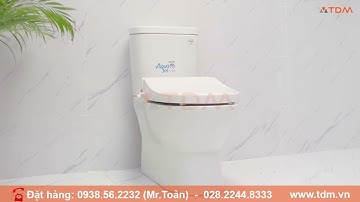 TDM.VN | Review bồn cầu Caesar CD1320 & CD1320/TAF050 kèm nắp rửa cơ - Bàn cầu 2 khối thân kín