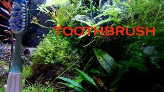 These are a few methods to use brush in an aquarium. different
toothbrush than the one that you clean your teeths. better if too...