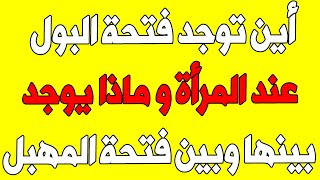 اسئلة دينية ونها محرجة اين توجد فتحة البول عند المرأة و ماذا يوجد بينها وبين فتحة المهبل