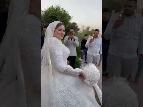 عرايسنا كلهم ملكات 