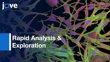 Rapid Analysis & Exploration: Fluorescence Microscopy Images l Protocol Preview