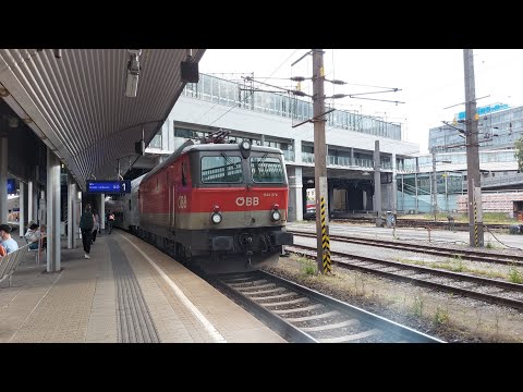 Video: 14 Vigtige Oplevelser At Have I Wien - Matador Network