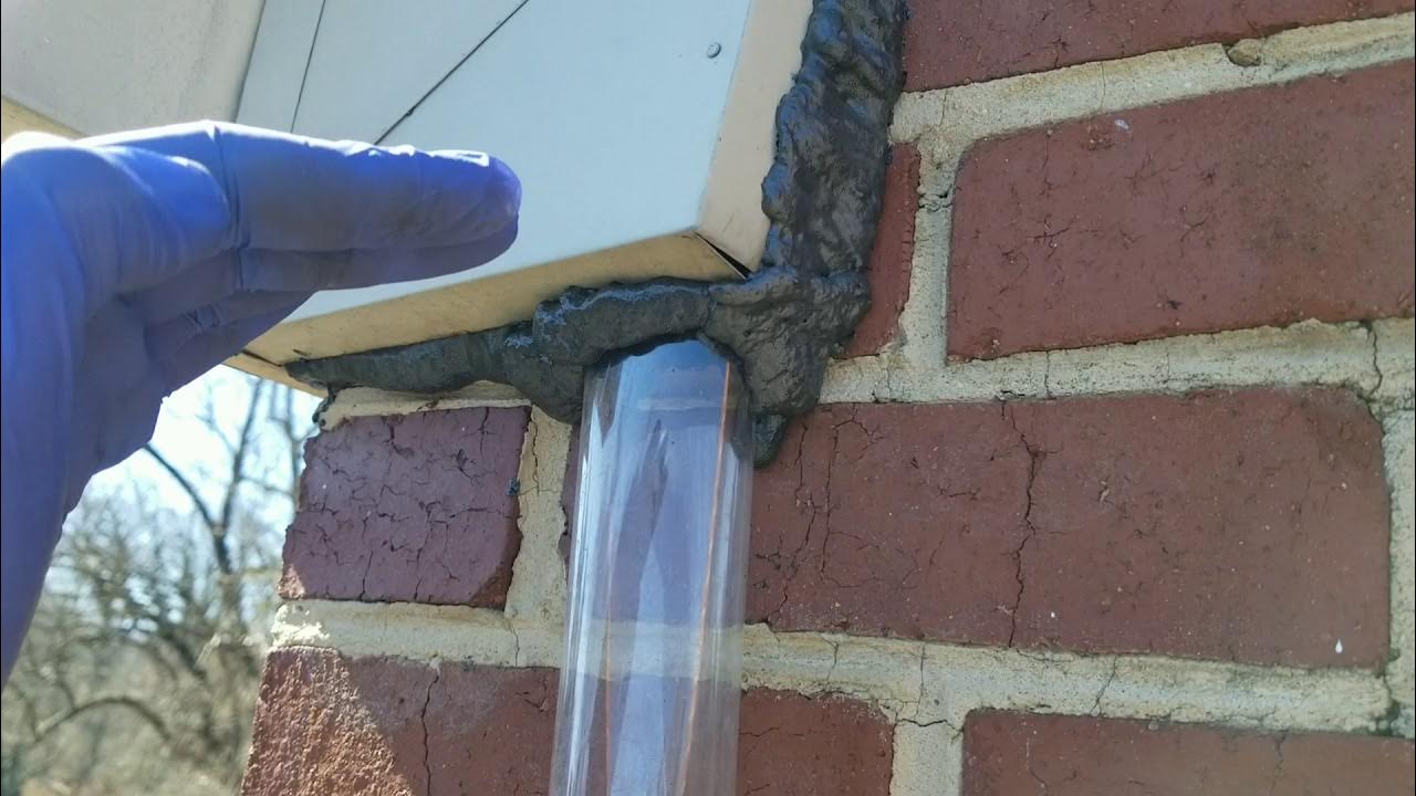 Oneway Bat Door Install YouTube