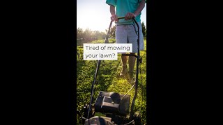 Mow lawns, mow problems. 🌱