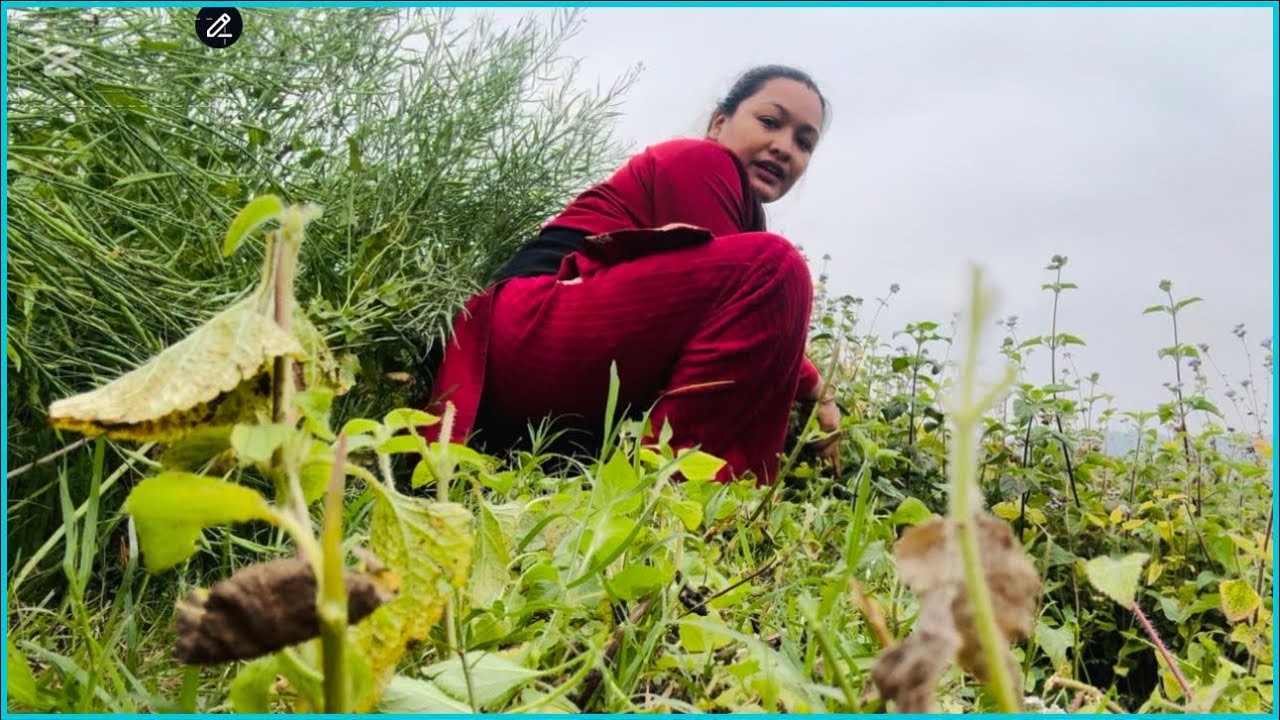 Toribarima Jhar Safa Gardai || Kta kt Sang Game Kheldai Xu 😂||4 Din Vayo Ghamle Sath Xodeko