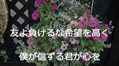 学会歌 ああ感激の同志あり 東京の歌 Sgi作詞山本伸一 池田大作 Youtube 学会歌 ああ感激の同志あり 東京の歌 Sgi作詞山本伸一 池田大作 Youtube