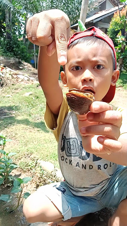 Fakta unik keong mas 😱