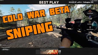 Call of Duty Cold War FIRE TEAM DIRTY BOMB Sniping (WARZONE?) screenshot 5