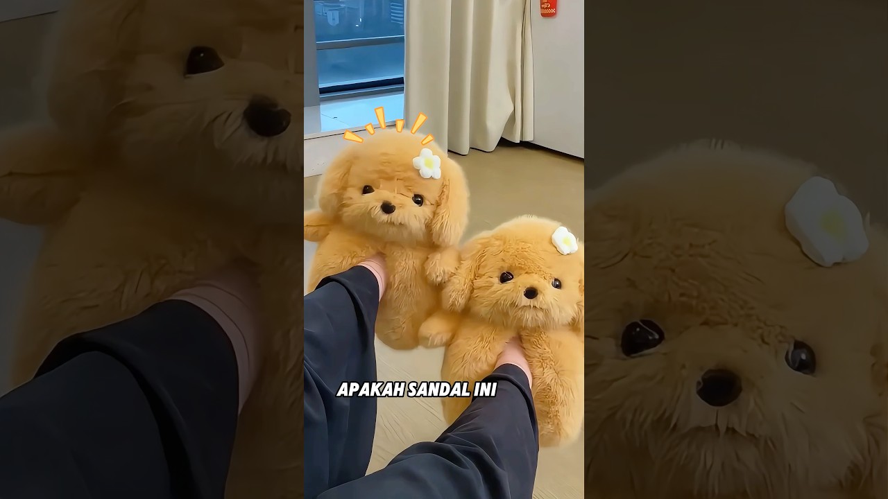 Dia memiliki sepasang sandal anjing yang lucu.#funny#shorts