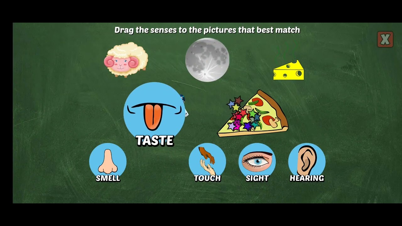 FIRST GRADE LEARNING GAMES | 5 Senses | GAMEPLAY Part 15