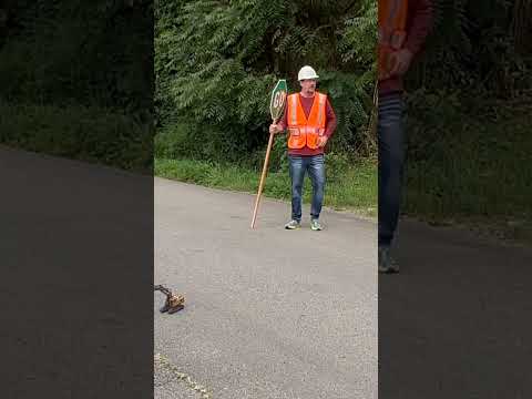 Construction Worker has a small bulldozer
