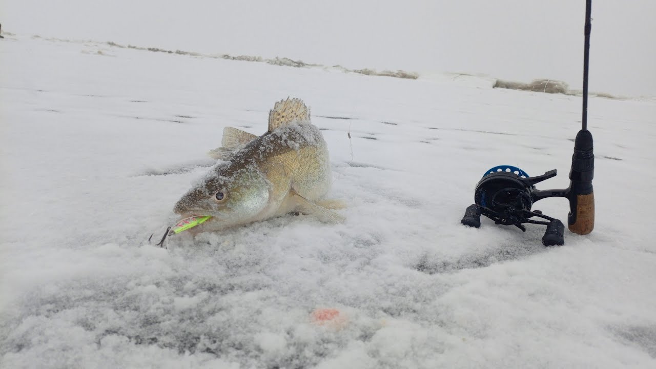 суровая судаковая рыбалка в дождь,пошел снег, улетели в овраг на джипе 😱📽️🐋🧊🎣 #судак #рыбалка #топ 