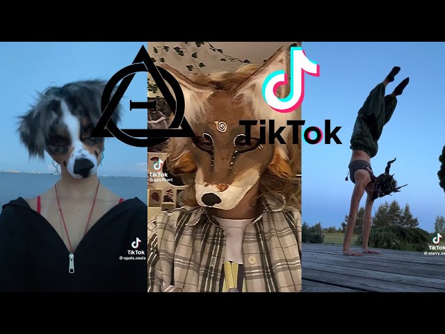 Therian and Quadrobics TikToks, Compilation 🐾🍂