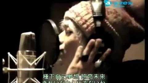 SMAP - 世界上唯一的花(中文版) [正体中文字幕+日文原版字幕] - 天天要闻