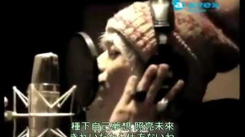 SMAP - 世界上唯一的花(中文版) [正體中文字幕+日文原版字幕] - 天天要聞