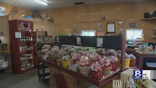 Discover New York's largest apple region on a tasting tour