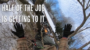 How I Move Around the Tree