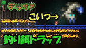 Ps4 テラリア 大量に魚を乱獲する方法紹介 バグ 裏技 Psvita Ps3 Ps4 Xbox360 Wiiu対応 ゆっくり解説 Youtube
