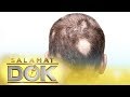 Types of alopecia, and different ways to prevent and treat the hair condition | Salamat Dok
