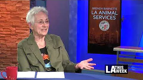 In Conversation with Brenda Barnette