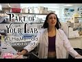 Part of your lab  a little mermaid science parody