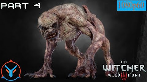 The Witcher 3: Wild Hunt Quest - Missing In Action  - Gameplay Walkthrough Part 4