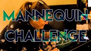 Mannequin Challenge In Reno