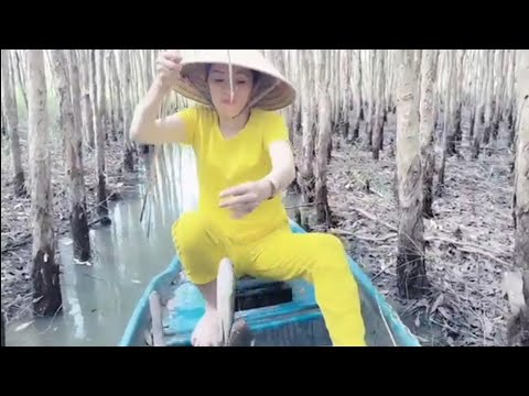 Video một ngày đầu năm mới vào rừng tràm thăm câu cá lóc... - youtube