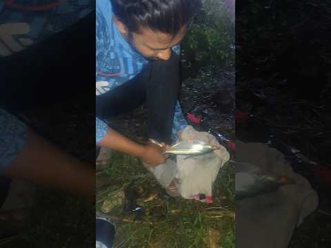 আমাদের প্রথম হিট বড় টেংরা মাছ #fishing #shorts #fypシ