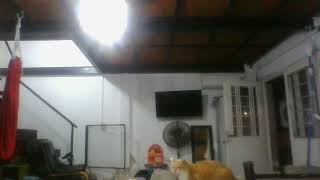 WIN 20260328 21 15 05 Pro