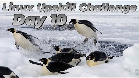[Day 10]  Scheduling Tasks - Linux Upskill Challenge