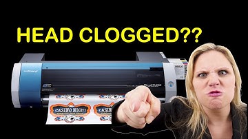 bn20 head soak unclogging dx7 printhead BN-20 Eco Solvent Printer **WORKS**