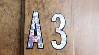 905 Sherman Ave #A3 Evanston, IL One bedroom