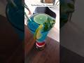 Mocktails Lovers Come Here | Lichi Frappe | #ytshorts 48 #mojito