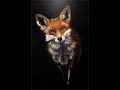 fox painted in VR