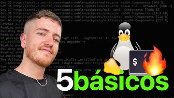 5 Comandos básicos de Linux que TODO principiante debe conocer 🐧💻