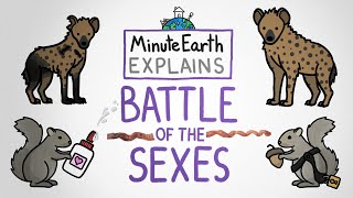 MinuteEarth Explains: Battle of the Sexes