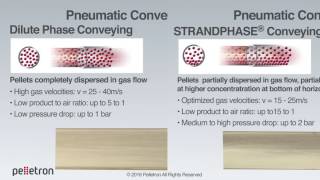Pelletron Conveying Technologies