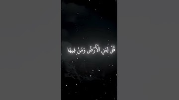#تلاوة_خاشعة #المصحف #quran #الدال_علي_الخير_كفاعله #استغفر الله العظيم من كل ذنب عظيم#
