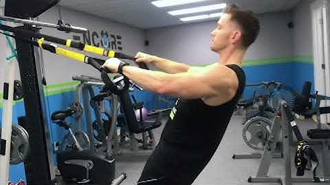 TRX Rows (low and high)