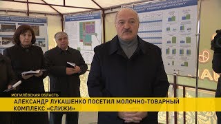 Лукашенко продолжает поездку в Шкловский район и знакомится с работой агрохолдинга «Купаловское»