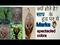 Indian cobras। cobra। spectacled cobra।caspian cobra।andaman cobra।monocellate cobra।monocled cobra।