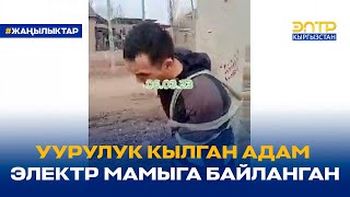 УУРУЛУК КЫЛГАН АДАМ ЭЛЕКТР МАМЫГА БАЙЛАНГАН. АК-ЖАРДАГЫ ОКУЯ