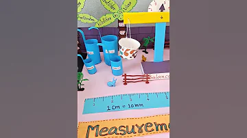 Shorts Measurement Park Math Project 