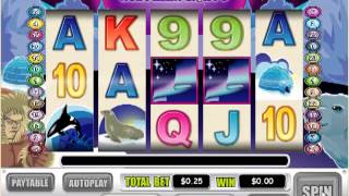 Miamiclubcasino.im - Northern Lights (5 Reel Slot BONUS Review) screenshot 4