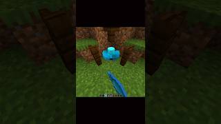 Minecraft Crazy FireFly Trick🤯