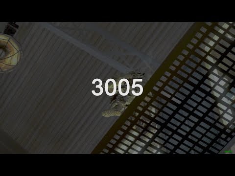 Three thousand and five.