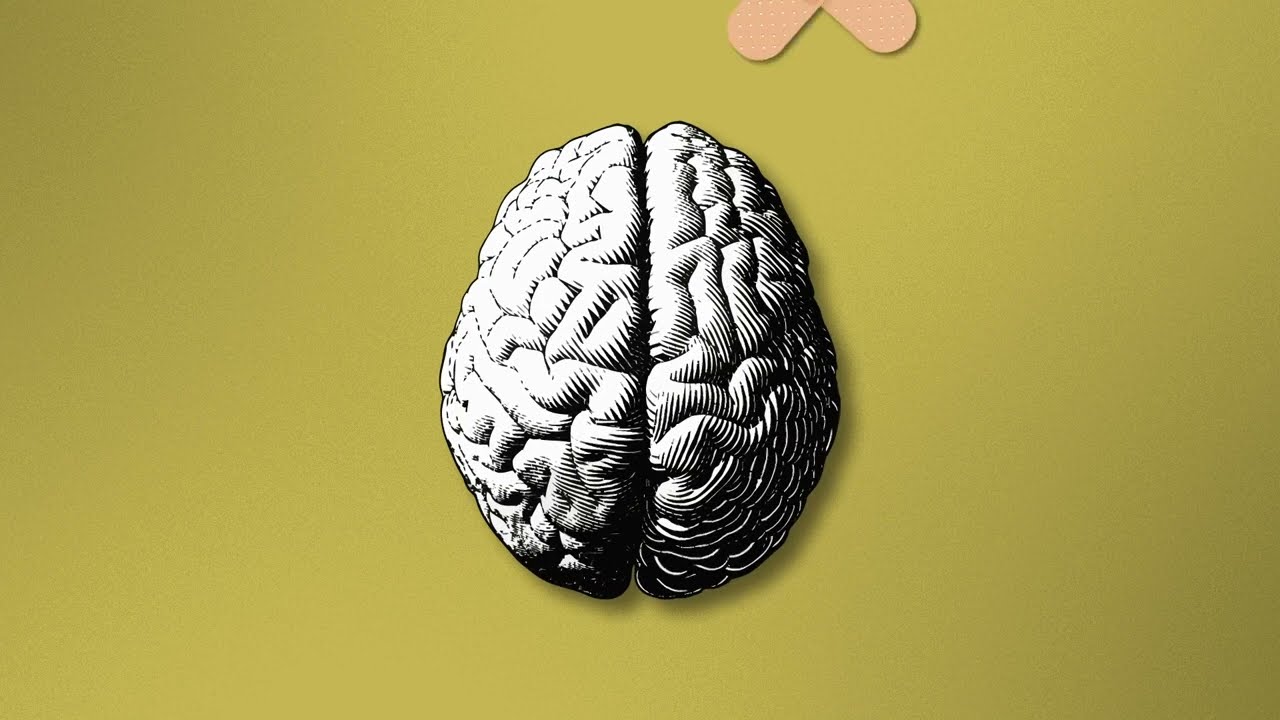 Introduction to the Emotional Needs & Resources Approach