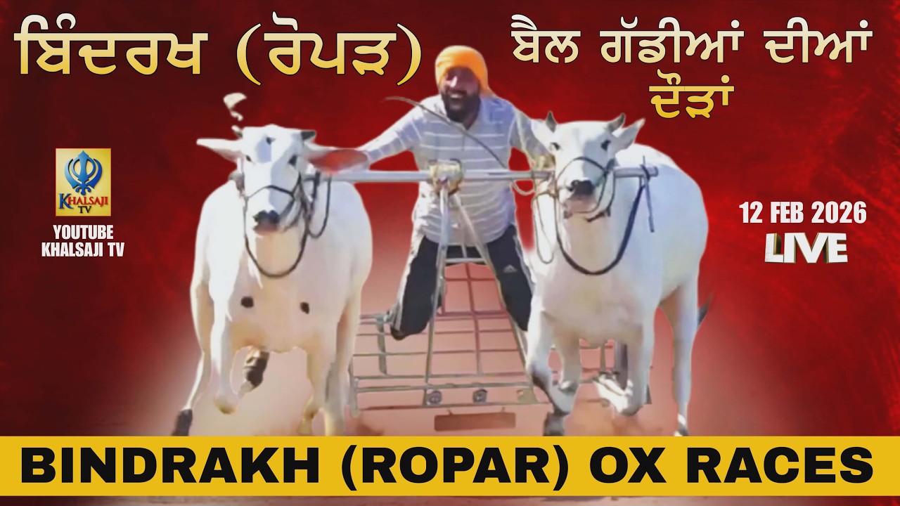🔴[Live] Bindrakh | Ropar | ਬੈਲ ਗੱਡੀਆਂ ਦੀਆਂ ਦੌੜਾਂ | Ox Races | 12 Feb ...