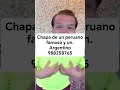 chistes y chapas a argentino y peruano famosos 988258765 cesar Gabrielli timoteo